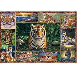 Tigers 5000 pc Puzzle by Ravensburger