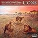 Lions