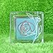 Body Shop Roseflower Eyes: Shade 02 Mint Green