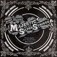 Majestic Silver Strings