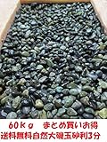 自然大磯化粧玉砂利3分　お花・お庭のアクセントに (60 キログラム)
