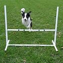 Hurdle Jump