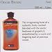 OCEAN BREEZE 1 LITER LB FRAGRANCE