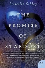 The Promise of Stardust