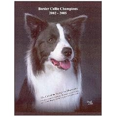 Border Collie Champions, 2002-2005