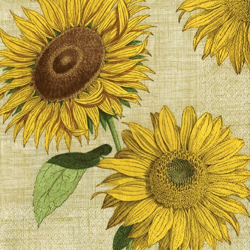 Cocktail Napkins Party Supplies Entertaining Garden Party Wedding Birthday Party Sunflowers Pk 40