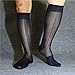 Lemo 3 PAIRS Men's 100% Nylon Sexy Knee High Long Sheer Socks