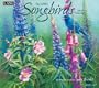 Songbirds 2010 Wall Calendar