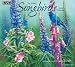 Songbirds 2010 Wall Calendar