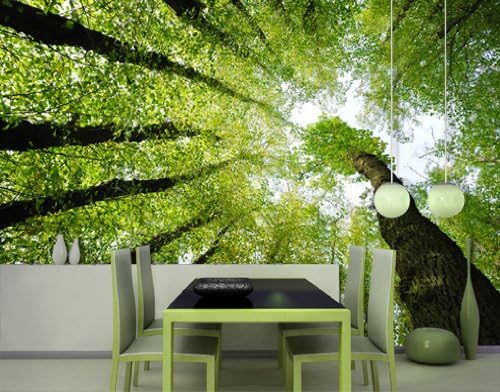 Photo wall mural no.99 FOREST DREAMS 157.48"x110.24" Wallpaper, wall art, wall decor, Forest, sky, nature, tree, trees, green, leaves, look, low-priced