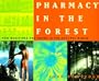 Pharmacy In The Forest: How Medicines Are Found In The Natural World
