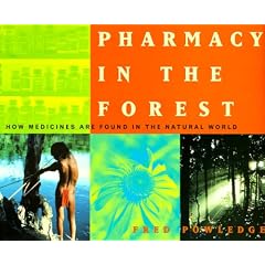 Pharmacy In The Forest: How Medicines Are Found In The Natural World