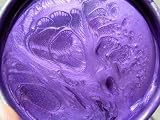 Auto Body Paint Plum Crazy Acrylic Enamel $ 75.00