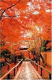 1000ピース 光悦寺 RS-13-234