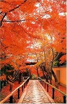 1000ピース 光悦寺 RS-13-234