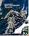 Raymond Pettibon: Here's Your Irony Back
