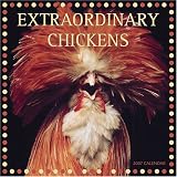 Extraordinary Chickens 2007 Wall Calendar