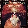 Extraordinary Chickens 2007 Wall Calendar