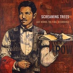 Last Words: the Final Recordings
