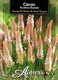 Aimers 3188 Celosia Flamingo Feather Seed Packet