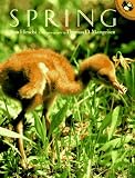 Spring (Picture Puffins)