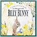 An Adventure With Billy Bunny: Peek-and-Find (Peek and Find (PGW))