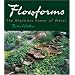 Flowforms: The Rhythmic Power of Water