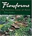 Flowforms: The Rhythmic Power of Water