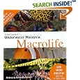 A Diver's Guide to Underwater Malaysia Macrolife by Andrea Ferrari and Antonella Ferrari