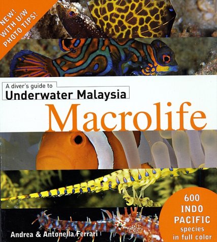 Underwater Photography