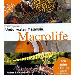 A Diver's Guide to Underwater Malaysia Macrolife