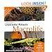 A Diver's Guide to Underwater Malaysia Macrolife