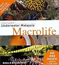 A Diver's Guide to Underwater Malaysia Macrolife
