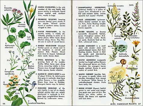 Pond Life: Revised and Updated (A Golden Guide from St. Martin's Press) under Aquatic Life in The Books Store