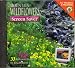 Software : Mountain Wildflowers: Screen Saver & Wallpaper [ Windows & Mac ]