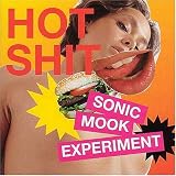 Sonic Mook Experiment 3: Hot Shit