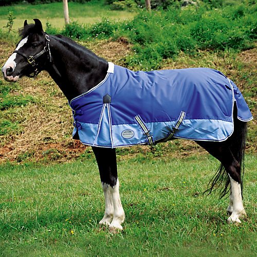 Weatherbeeta 600D Pony Turnout Blanket 220g 54In R Buy hours pet supplies KirkKirk
