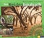Das Weidenbaubuch: Die Kunst, lebende Bauwerke zu gestalten