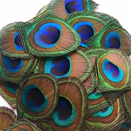Handwork Trimmed Beautiful Natural Peacock Feather Eye Plumage Diy Decoration Mask Jewelry Craft Dress Making Hat ((50pcs) 2-3cm in width)