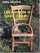 Les ruines de la future maison