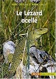 Le L�zard ocell�