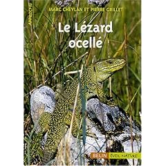 Le L�zard ocell�