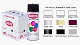 Krylon Interior/Exterior Spray Paint (12 oz.) - Glossy Black/OSHA