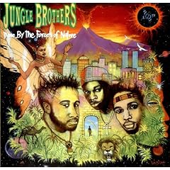 Done by the forces of nature (1989) [Vinyl LP]