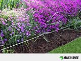 Decorative Lawn Edging – Regency