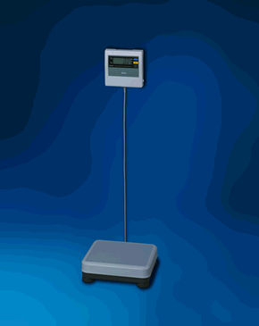 HealthPersonalCare: Tanita BWB 800AS Digital Healthcare Scale with Remote Display