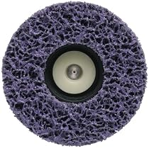 Wagner Power Products 513041 Paint Eater Replacement Disc