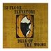 The-13Th-Floor-Elevators-Bull Of The Woods cd cover