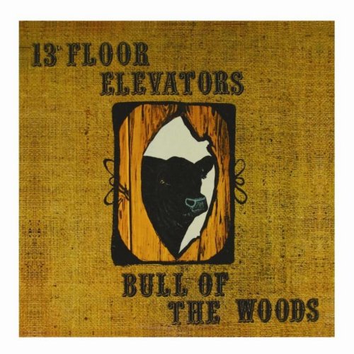 The 13Th Floor Elevators Bull Of The Woods cd cover