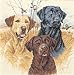 Dimensions Counted Cross Stitch, Great Hunting Dogs